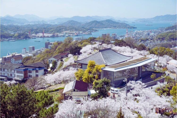 Senkoji-temple Park with cherry blossom trees