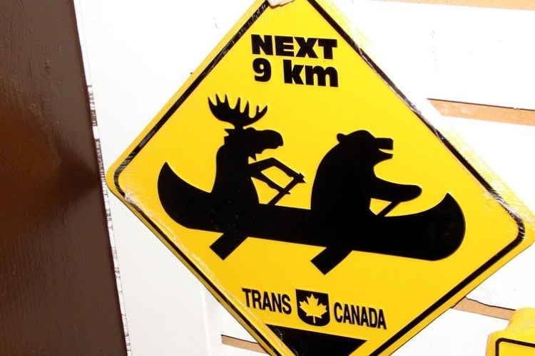 Unique item found in a souvenir shop along the Trans Canada Highway