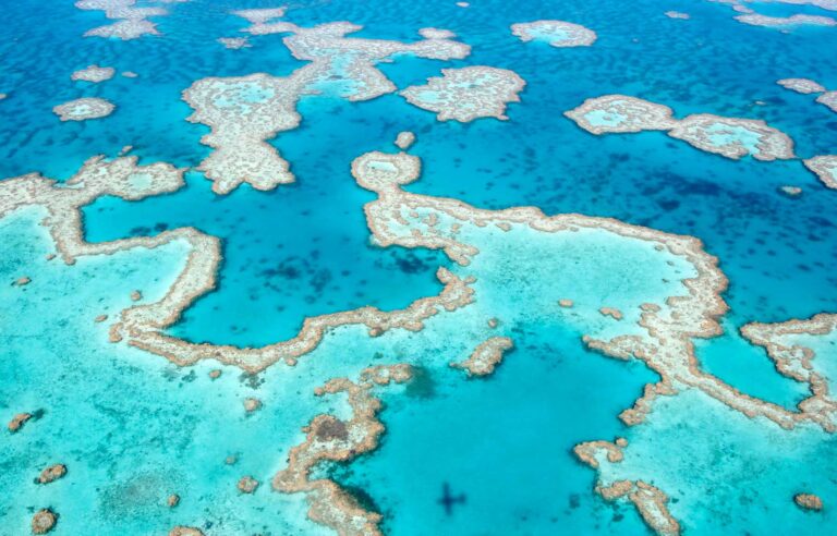 Striking colours of the Reef from a scenic flight from Airlie Beach and Whitsundays Island. Photo by Ayan Adak
