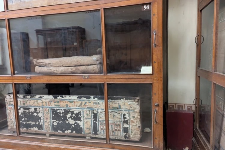Artifacts at the Egyptian Museum