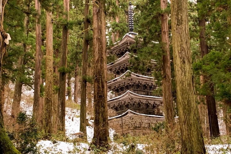 The famous five-story pagoda in a cedar forest.