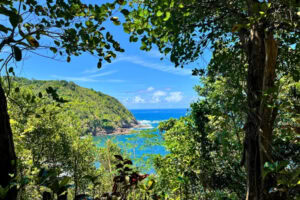 Northeast coast of Dominica