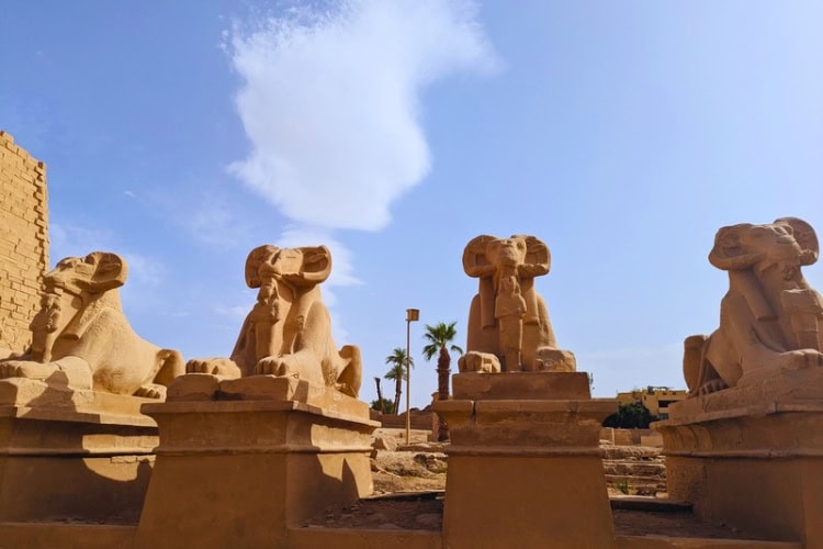 Sphinxes in Luxor