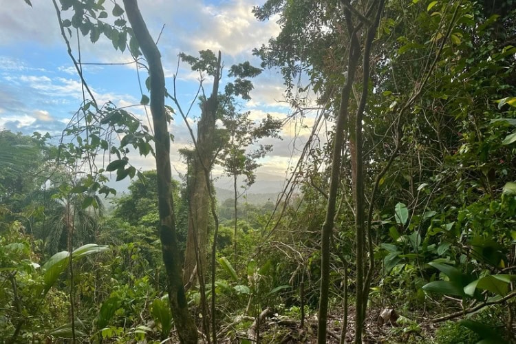 View towards Panama border