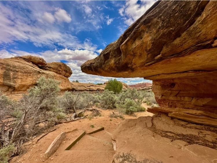 Cave Spring Trail in Canyonlands National Park provides views of The Needles district and insights into cowboy history