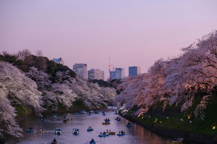Tokyo, Japan. Photo by Yu Kato, Unsplash