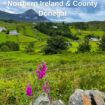 Pinterest image looking across Donegal's fields to Mount Errigal in the distance
