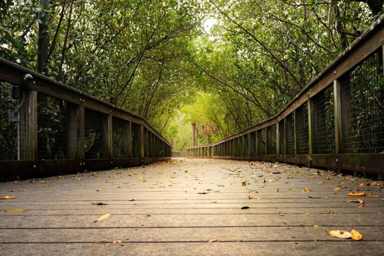 Golf, baseball, riverwalks and nature preserves, Port St Lucie has all this and more. Image by Cavan Images from Getty Images via Canva