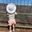Enjoying the views at Waimea Canyon State Park. Photo by Kirstin Koszorus