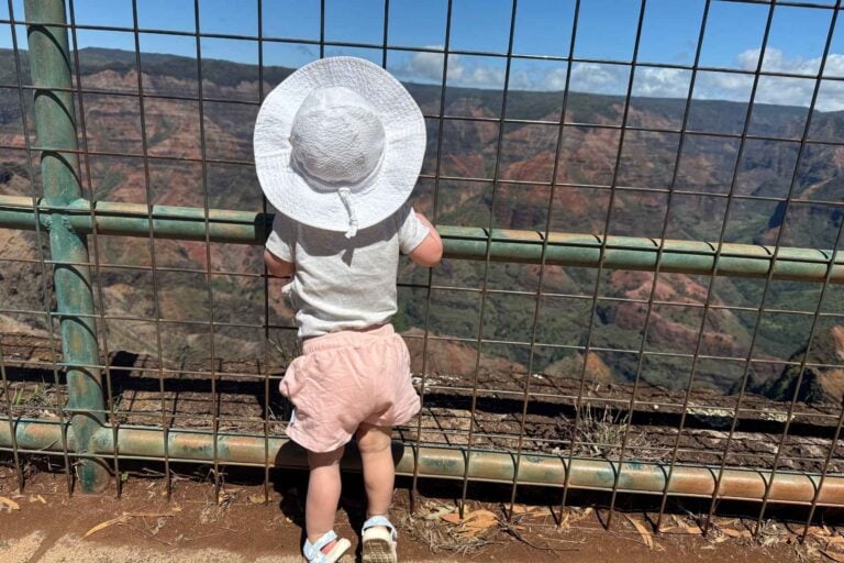 Enjoying the views at Waimea Canyon State Park. Photo by Kirstin Koszorus