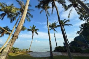 A scenic view of Batu Feringhi at the Rasa Sayang Hotel. Photo by Leonie Jarrett