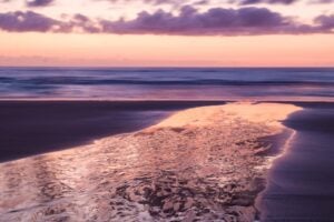 Fraser Island (K'GARI) is a nature lovers paradise. Photo by Ayan Adak