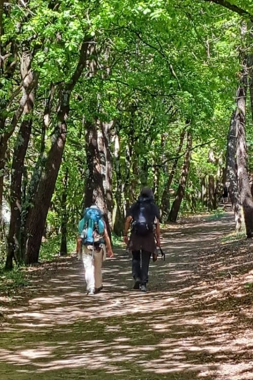 Marina and Fernando walking along the forested trail