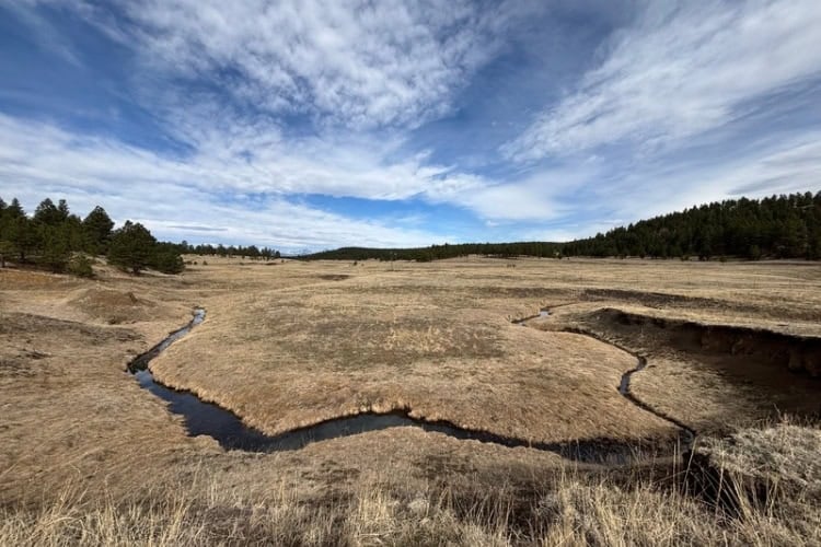 A ribbon of river winds through a field under a blue sky with a few white clouds above
