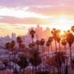 Los Angeles skyline at sunset, framed by the city's iconic palm trees. Photo by chonesstock via Canva