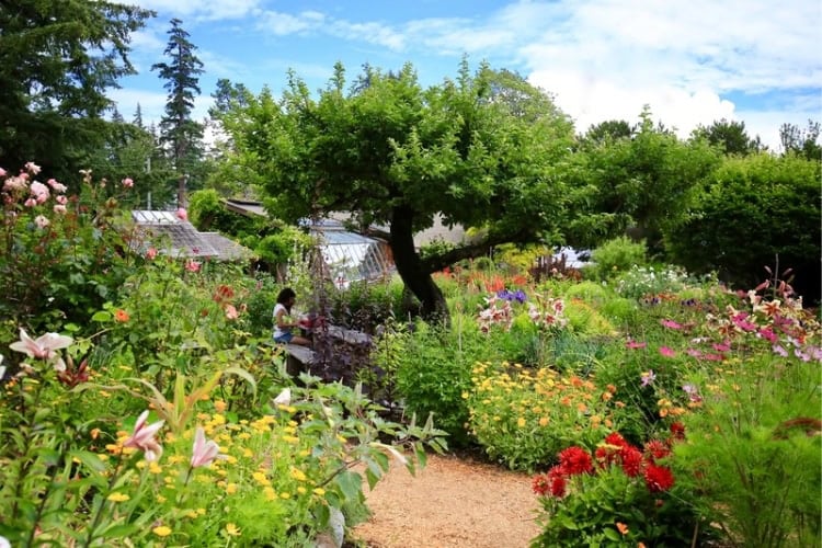 The retreat&rsquo;s biodynamic garden serves as a vibrant centerpiece, showcasing lush and abundant plant life.