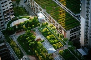 Urban farming in India