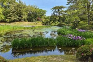 In the Ritsurin Gardens. Photo by Don Mankin