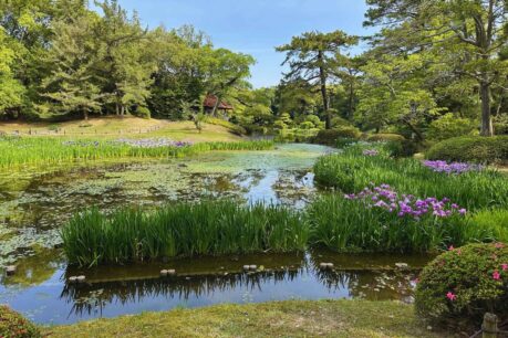 In the Ritsurin Gardens. Photo by Don Mankin