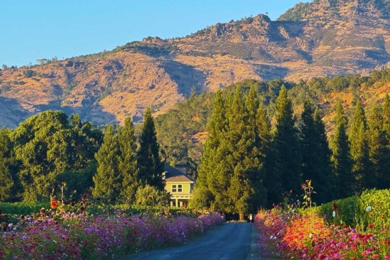 Picturesque wine country. Photo by Debbie Stone