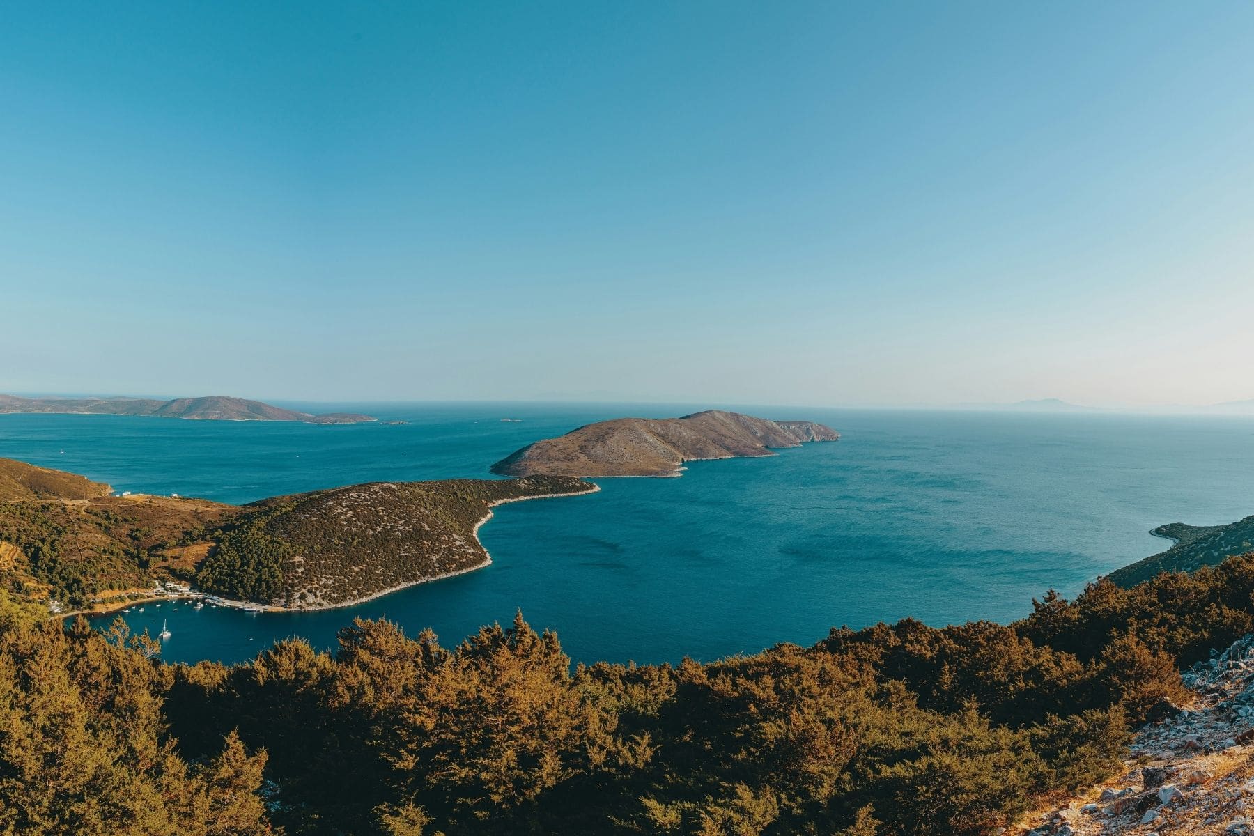 The coastline of Skyros, Greece, where pine forests meet the Aegean Sea. Photo by Jim Makos, Unsplash