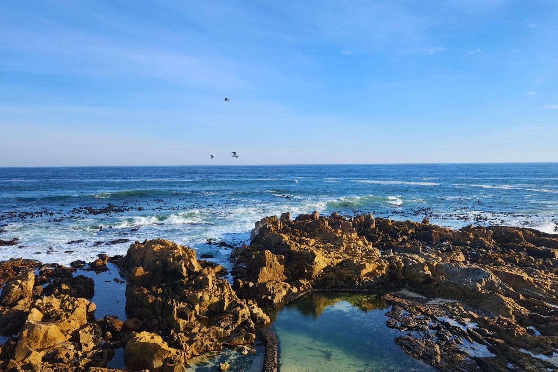 Why Sea Point Is THE Spot to Stay in Cape Town
