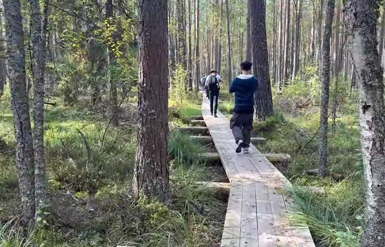 The Stompaki Bog has a 1.5 km trail through the forest where national partisans had bunkers in 1945. 