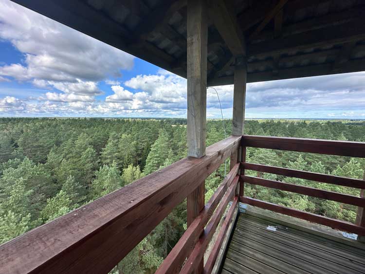View from the observation tower overlooking the site of WWI's Christmas Battles. Photo by Janna Graber