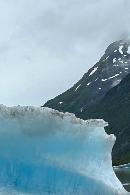Calf in front of Chugach Glacier. Photo by Marcia McGreevy Lewis
