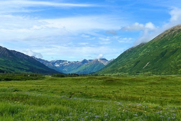Emerald fields surrounding Seward. Photo by Marcia McGreevy Lewis
