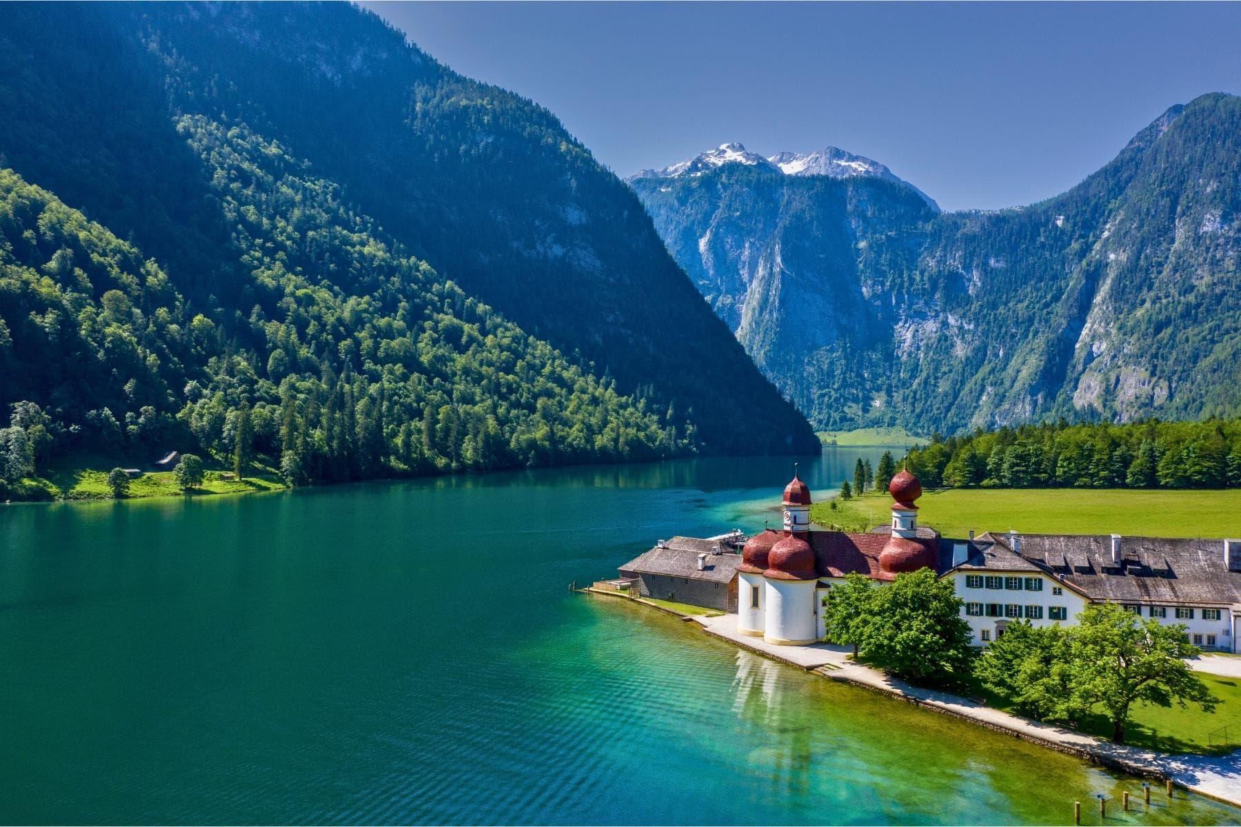 From Treetop Walks to Silent Boats: Inside Bavaria’s Two National Parks