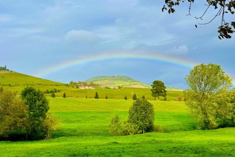 Rainbow over a green field in France's Beaujolais wine region. Photo by Terri Colby