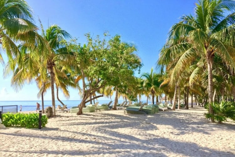 Riviera Maya, Mexico. Photo by Andrew Wittmaak, Unsplash
