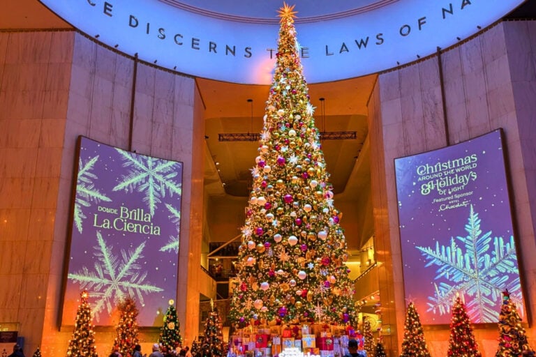 The 4-story tall Grand Christmas Tree greets visitors in the Museum's rotunda. Its decorated with nearly 35,000 lights & more than 500 ornaments. Photo by Frank Hosek