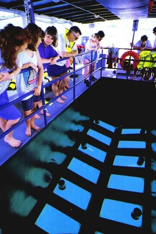 Glass bottom boat tour. Photo by Brent Cassie