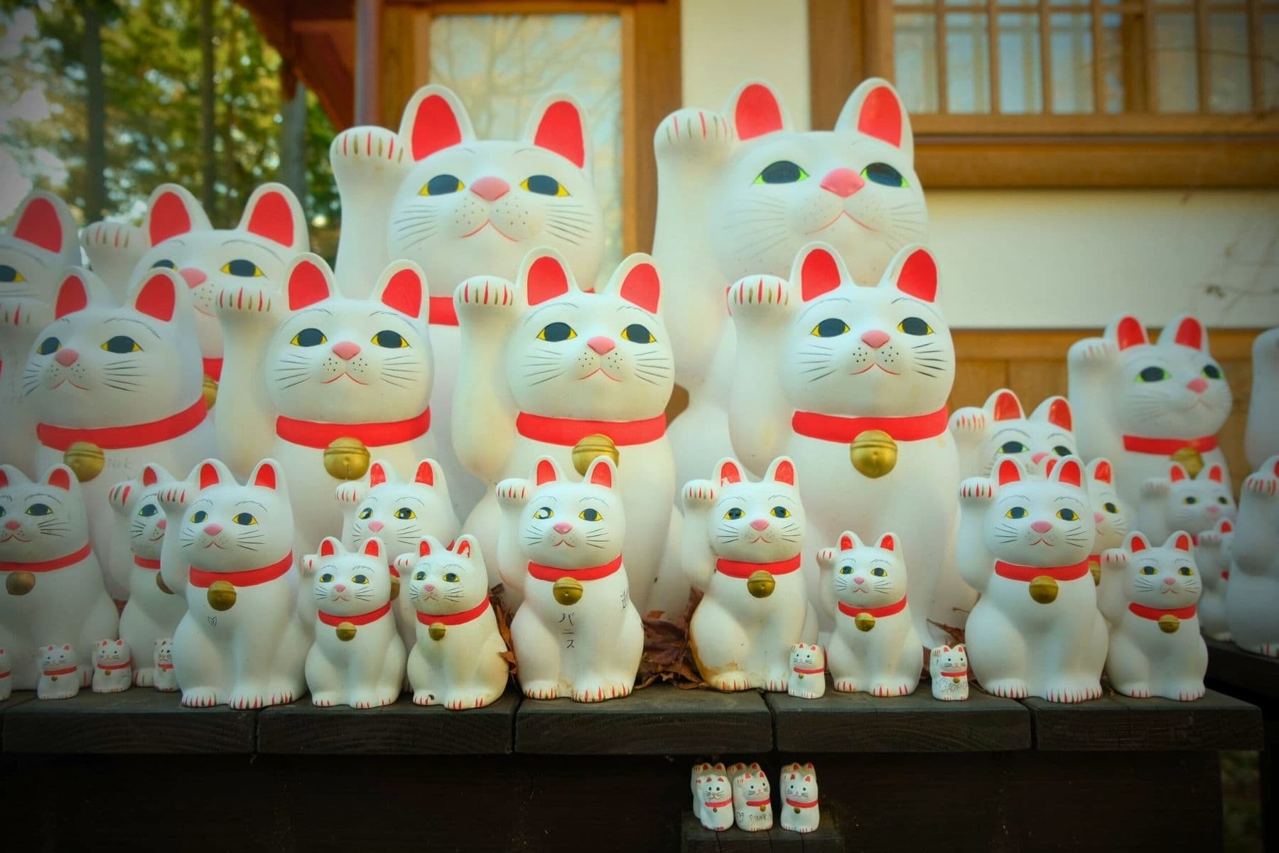 Gotokuji&mdash;Tokyo's so-called "lucky cat temple" is widely considered the birthplace of the maneki-neko. Photo by Alex Chatziagorakis