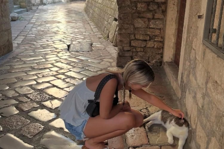 petting a cat in Kotor