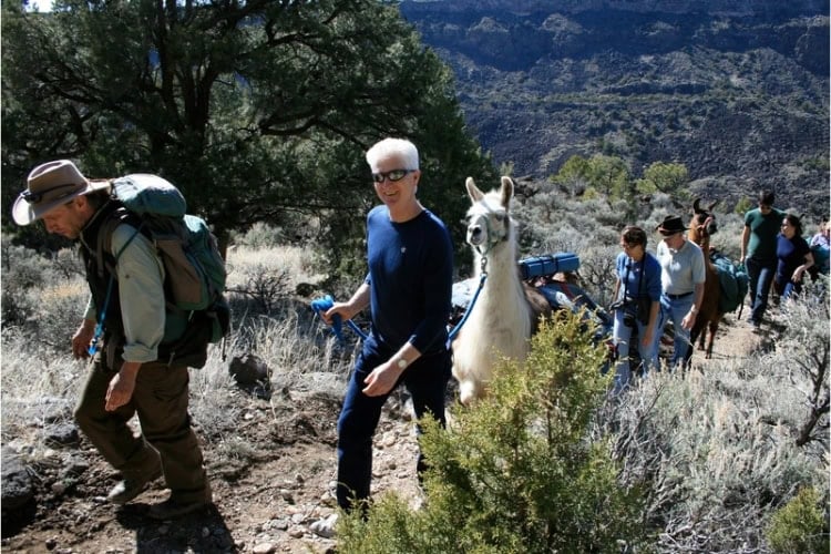 Llamas tote our load during the climb out of the gorge. Photo by Jane Cassie