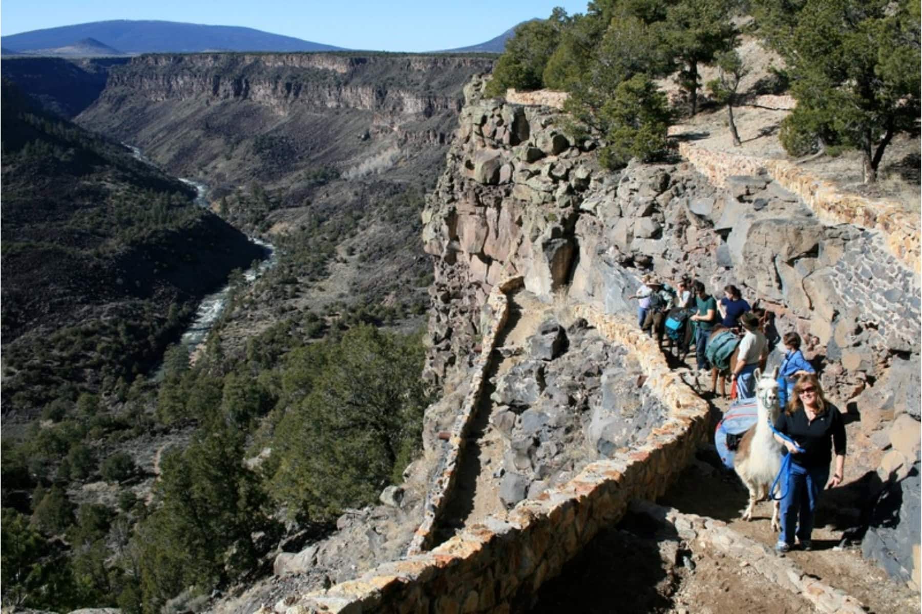 Rio Grande Gorge: A New Mexico Trek Where the Scenery Teaches and the Llamas Steal Your Heart