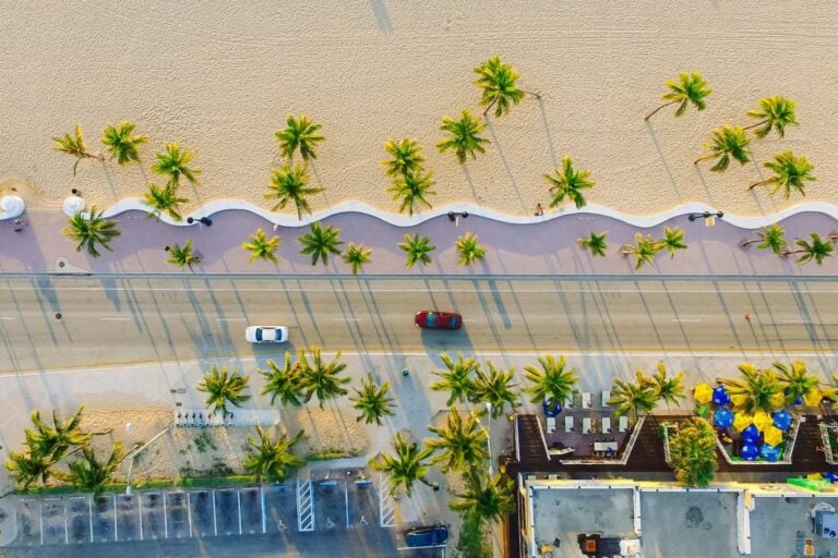 Palm tree-lined road in Miami. Photo by Lance Asper, Unsplash