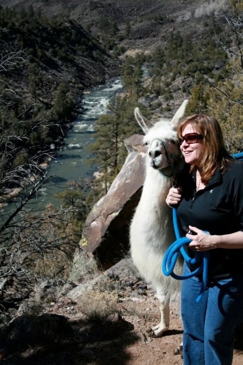 Rio Grande Gorge in New Mexico. Photo by Brent Cassie