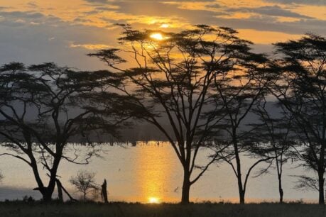 Sunset in Nairobi National Park, Kenya. Photo by Caryl Dimaano