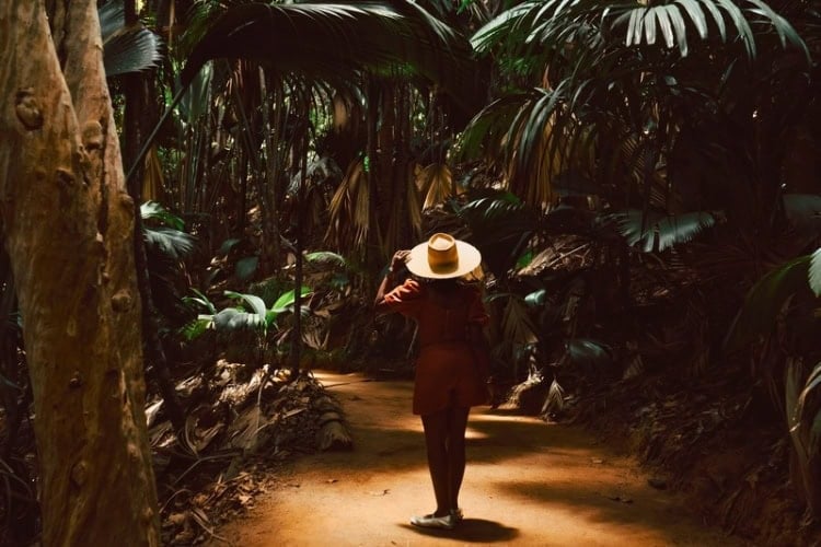 Traveler in the Vall&eacute;e de Mai Nature Reserve, a UNESCO World Heritage Site, by Christy YamaGucci