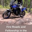 The author rides a sandy forest trail in the Pine Barrens, New Jersey. Photo courtesy of the Pine Barrens Adventure Riding Group Pinterest