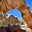 Hikers go under and around the Hinkman Bridge in Capitol Reef National Park. Photo by Tab Hauser