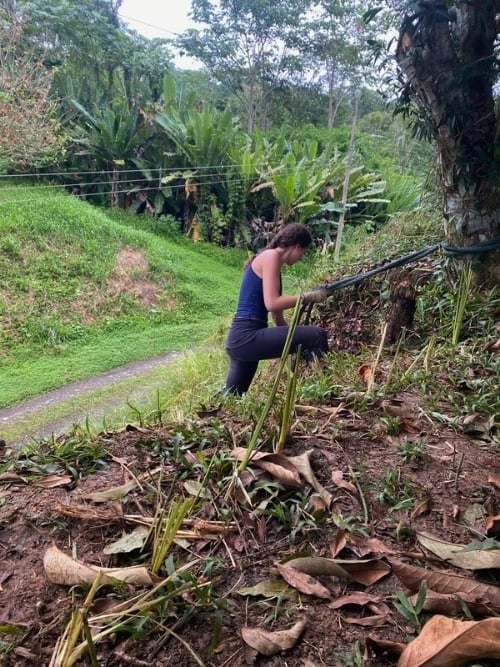 Workaway planting Vetiver grass, Costa Rica. Photo by Charlotte Huson