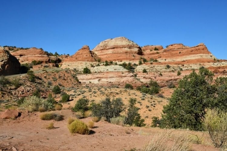 The view from the Kiva Coffee House in Utah. Photo by Tab Hauser