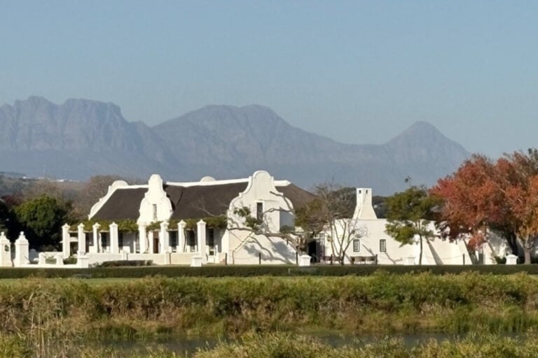 The oldest wine estate in South Africa - Vergenoegd Low Wine Estate in Stellenbosch, Cape Town. Photo by Diane McLeish