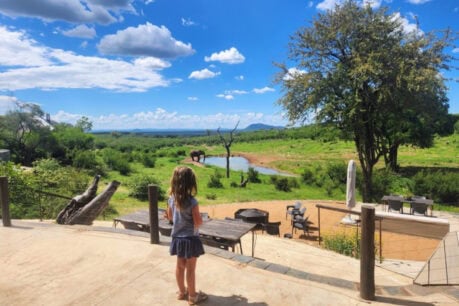 Elephants frequent the waterhole in front of Royal Madikwe, Madikwe Game Reserve. Photo by Janine Avery