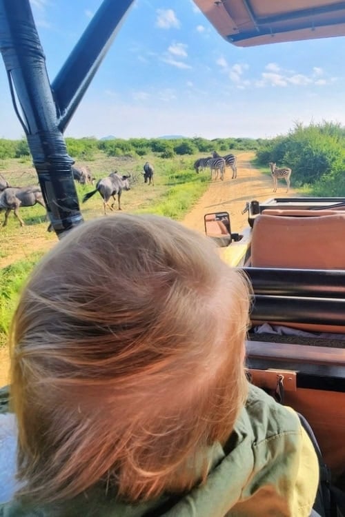 A safari for all ages with Royal Madikwe. Photo by Janine Avery